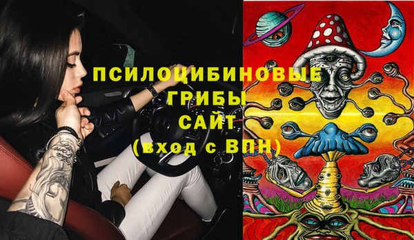 амф Алексеевка