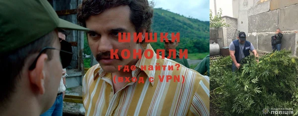 амф Алексеевка