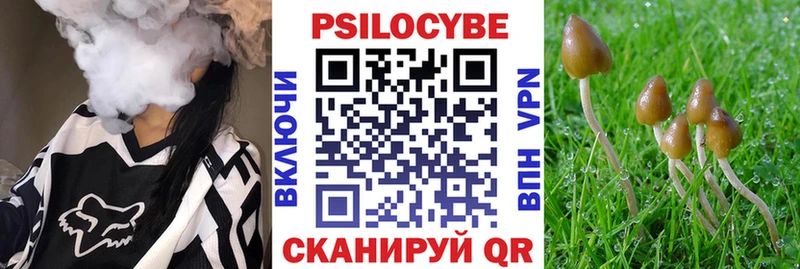 Галлюциногенные грибы Cubensis  Неман 